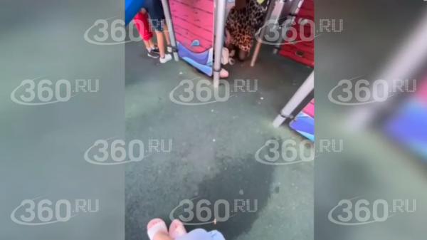 В&nbsp;Звенигороде против угрожавшей убить чужого ребенка матери возбудили дело