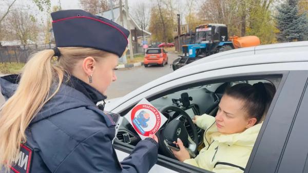 Госавтоинспекция Балашихи проверила более 50 машин на&nbsp;правила перевозки детей