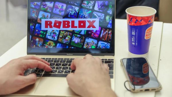 В&nbsp;США пропал 15-летний подросток после знакомства в&nbsp;Roblox