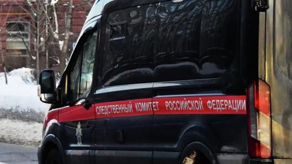 Дело о&nbsp;халатности возбудили после убийства девятилетнего мальчика в&nbsp;Петербурге