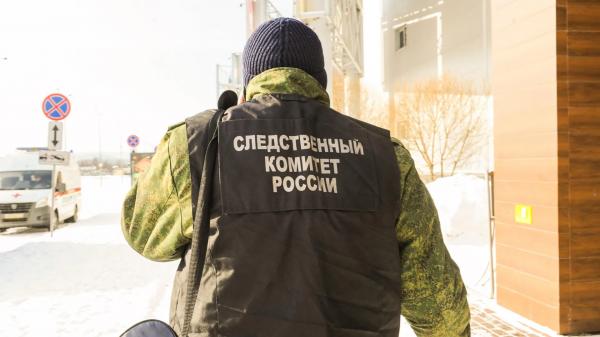 Жительница Барнаула зарезала сына канцелярским ножом
