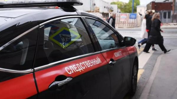 СК&nbsp;обратился к&nbsp;возможным потерпевшим от&nbsp;действий убийцы мальчика в&nbsp;Петербурге