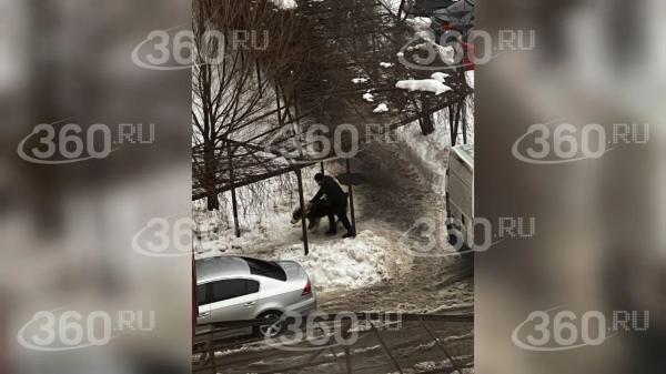 Алабай загрыз собаку на&nbsp;глазах у&nbsp;детей и&nbsp;напал на&nbsp;женщину в&nbsp;Новом Измайлове