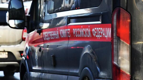 В&nbsp;Уфе завели уголовное дело после изъятия детей-маугли у&nbsp;пьющей матери